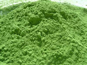Poudre de spiruline biologique