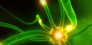 Spiruline bio l'un des aliment les plus riche au monde