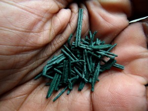 Spiruline bio pour les cheveux