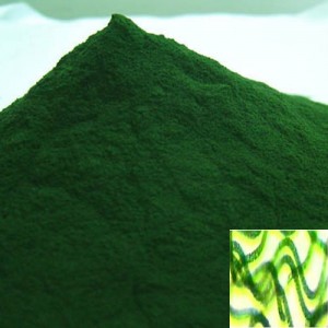 La spiruline Biologique un antioxydant naturel puissant