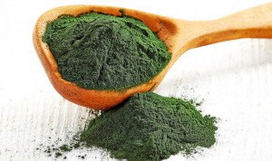 La spiruline une algue pour retrouver ou conserver la vitalité