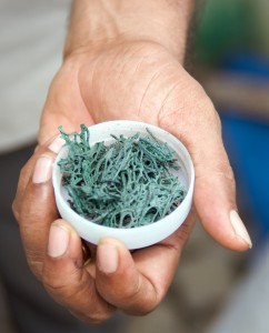 Spiruline bio une algue riche en nutriments essentiels